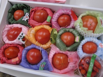 �摜(435x326)�E�g��摜(640x480)