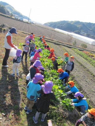 �摜(326x435)�E�g��摜(480x640)