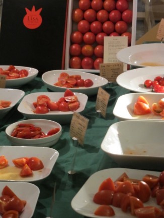 �摜(326x435)�E�g��摜(480x640)