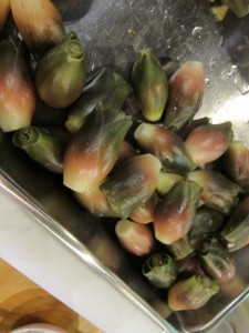 画像(225x300)・拡大画像(480x640)