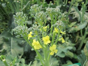 �摜(300x225)�E�g��摜(640x480)