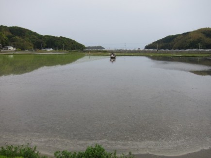 �摜(435x326)�E�g��摜(640x480)