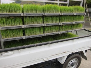 �摜(300x225)�E�g��摜(640x480)