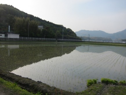 �摜(435x326)�E�g��摜(640x480)