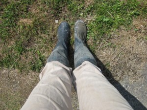 �摜(300x225)�E�g��摜(640x480)