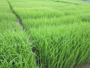 �摜(300x225)�E�g��摜(640x480)