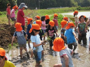 �摜(300x225)�E�g��摜(640x480)