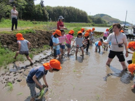 �摜(435x326)�E�g��摜(640x480)