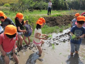 �摜(300x225)�E�g��摜(640x480)