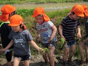 �摜(300x225)�E�g��摜(640x480)