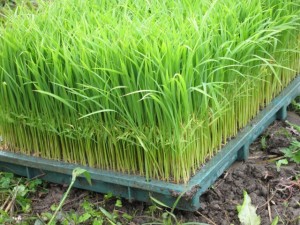 �摜(300x225)�E�g��摜(640x480)