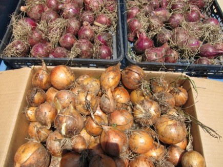 �摜(435x326)�E�g��摜(640x480)