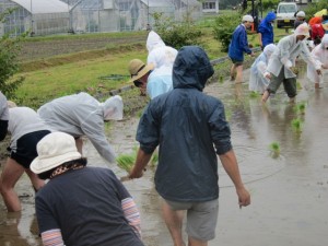 �摜(300x225)�E�g��摜(640x480)