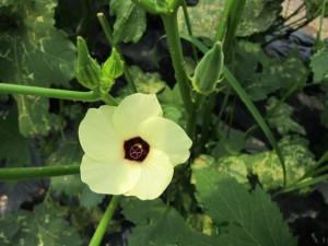 �摜(300x225)�E�g��摜(640x480)