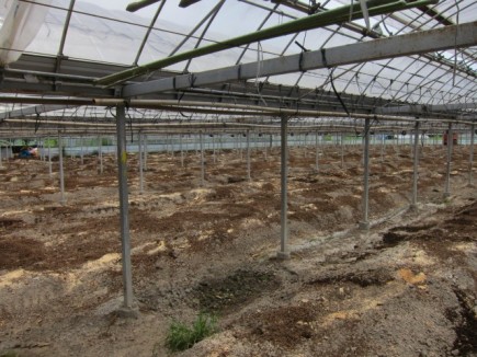 �摜(435x326)�E�g��摜(640x480)