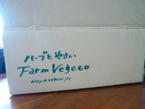 �摜(300x225)�E�g��摜(480x360)