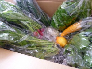 �摜(300x225)�E�g��摜(480x360)