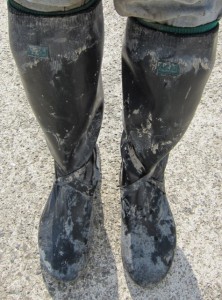 �摜(222x300)�E�g��摜(475x640)