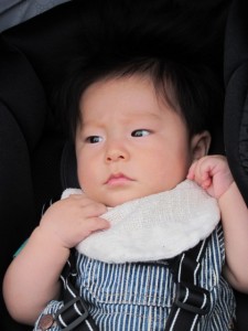 �摜(225x300)�E�g��摜(480x640)