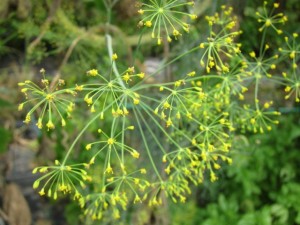 �摜(300x225)�E�g��摜(640x480)