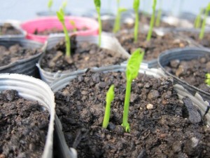 �摜(300x225)�E�g��摜(640x480)