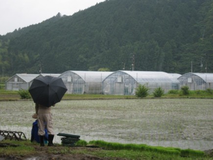 �摜(435x326)�E�g��摜(640x480)