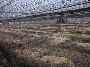 �摜(300x225)�E�g��摜(640x480)