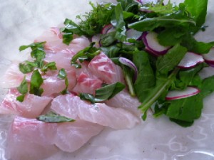 �摜(300x225)�E�g��摜(480x360)