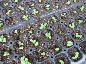 �摜(300x225)�E�g��摜(640x480)