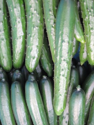 �摜(326x435)�E�g��摜(480x640)