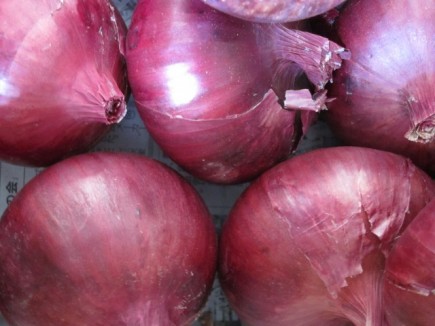 �摜(435x326)�E�g��摜(640x480)