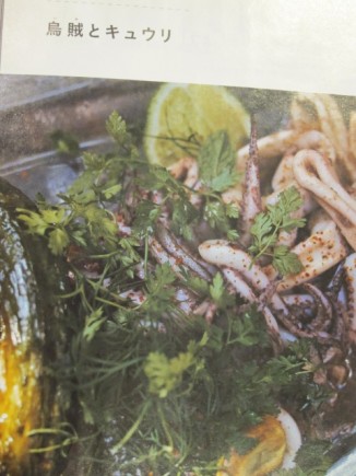 �摜(326x435)�E�g��摜(480x640)