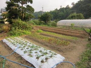 �摜(300x225)�E�g��摜(640x480)