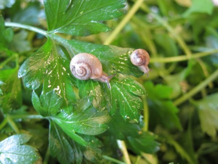 �摜(435x326)�E�g��摜(640x480)