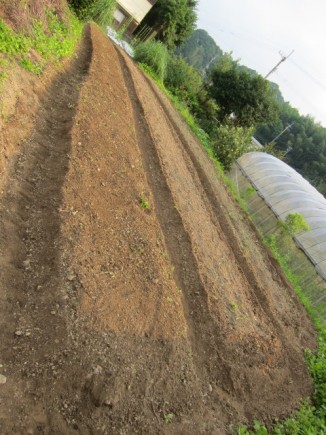 �摜(326x435)�E�g��摜(480x640)