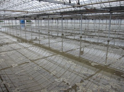 �摜(435x326)�E�g��摜(640x480)