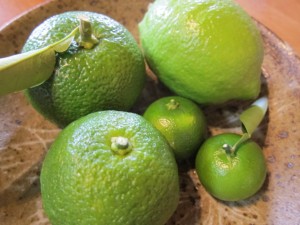 �摜(300x225)�E�g��摜(640x480)