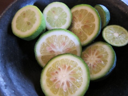 画像(435x326)・拡大画像(640x480)