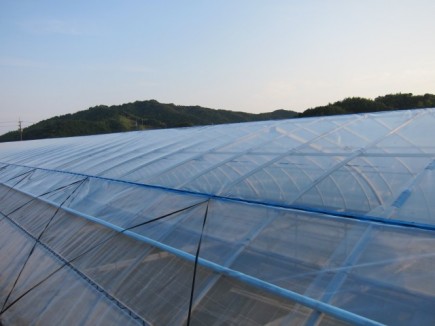 �摜(435x326)�E�g��摜(640x480)