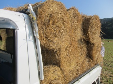 画像(435x326)・拡大画像(640x480)