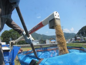 画像(300x225)・拡大画像(640x480)