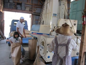 画像(300x225)・拡大画像(640x480)