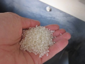 画像(300x225)・拡大画像(640x480)