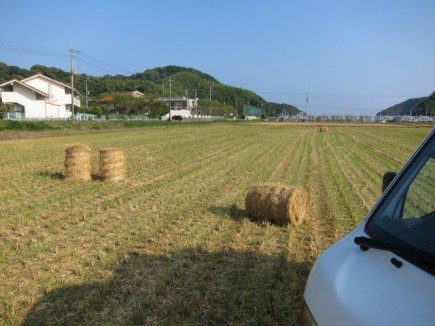 画像(435x326)・拡大画像(640x480)