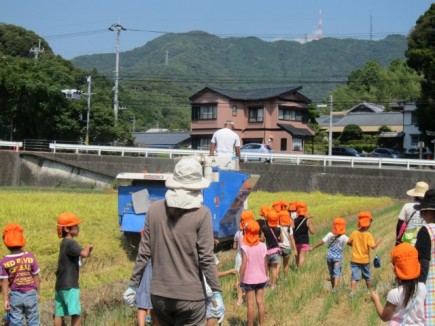 画像(435x326)・拡大画像(640x480)