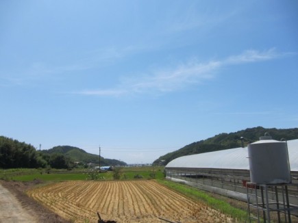 �摜(435x326)�E�g��摜(640x480)