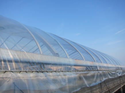 �摜(435x326)�E�g��摜(640x480)