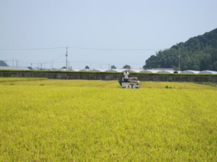 画像(435x326)・拡大画像(640x480)