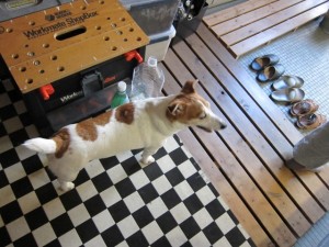 画像(300x225)・拡大画像(640x480)