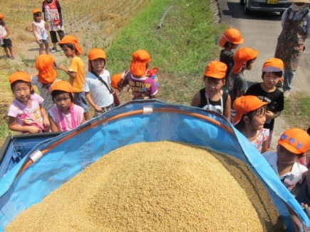 画像(435x326)・拡大画像(640x480)